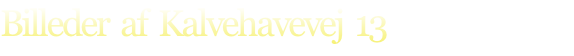 Billeder  af  Kalvehavevej  13
