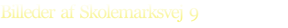 Billeder  af  Skolemarksvej  9

