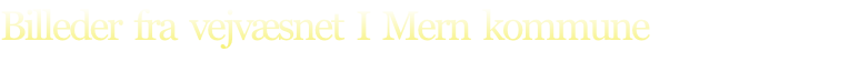 Billeder  fra  vejvæsnet  I  Mern  kommune
