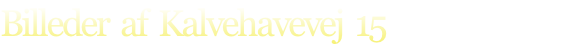 Billeder  af  Kalvehavevej  15
