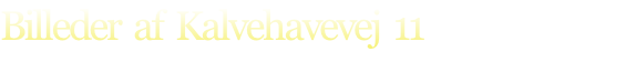 Billeder  af  Kalvehavevej  11 
