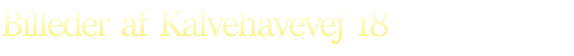 Billeder  af  Kalvehavevej  18
