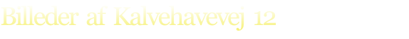 Billeder  af  Kalvehavevej  12 
