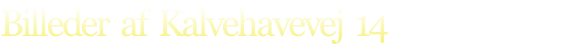 Billeder  af  Kalvehavevej  14
