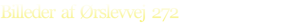 Billeder  af  Ørslevvej  272

