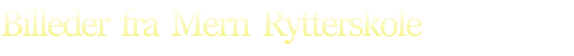 Billeder  fra  Mern  Rytterskole
