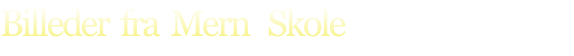 Billeder  fra  Mern   Skole
