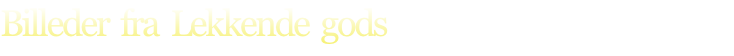 Billeder  fra  Lekkende  gods
