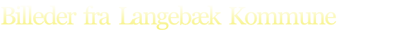 Billeder  fra  Langebæk  Kommune

