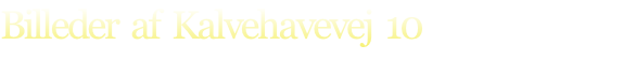 Billeder  af  Kalvehavevej  10 
