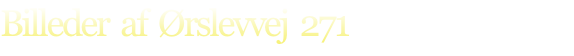 Billeder  af  Ørslevvej  271

